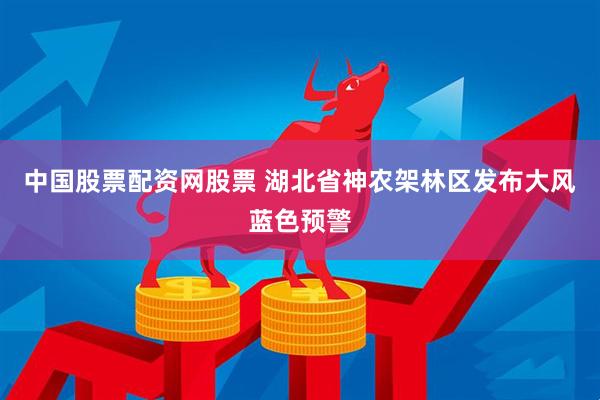 中国股票配资网股票 湖北省神农架林区发布大风蓝色预警