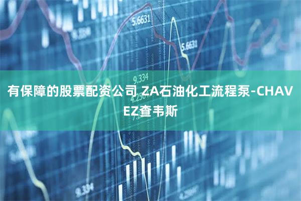 有保障的股票配资公司 ZA石油化工流程泵-CHAVEZ查韦斯